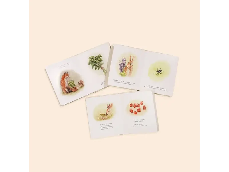 Paige Tate & Co Our Little Adventures Box Set