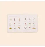Paige Tate & Co Our Little Adventures Box Set