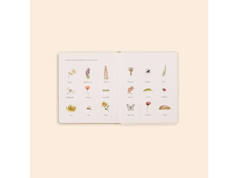 Paige Tate & Co Our Little Adventures Box Set