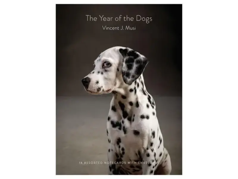 Chronicle Books Year of the Dogs Notecards