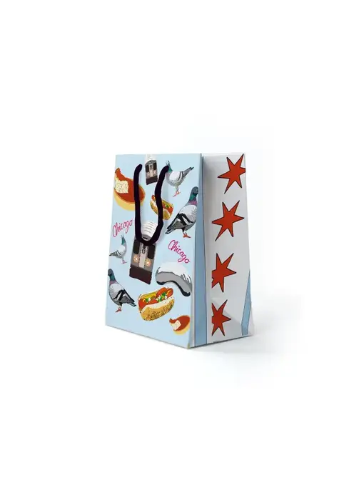 Best of Chicago Gift Bag (Medium)