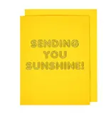 The Social Type Sending You Sunshine Friendship Card