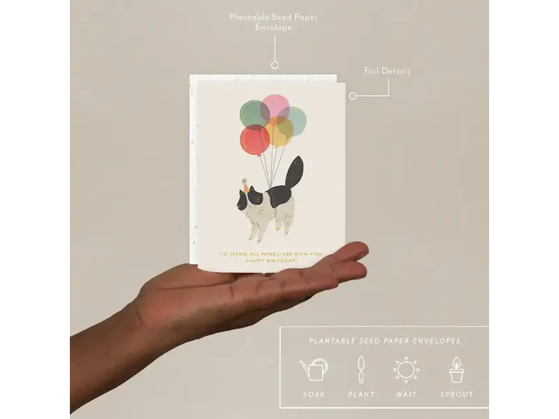 Seedlings Birthday Kitty - Birthday Card