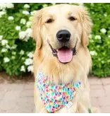 Chicago Dog Co It's My Birthday Bandana - XL