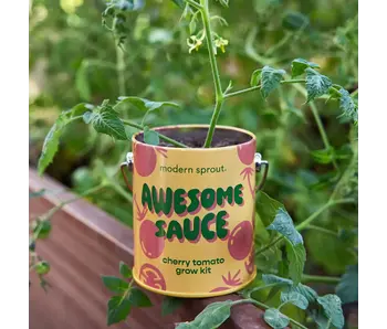 Complimentary Color Grow Kits - Awesome Sauce (Cherry Tomato)