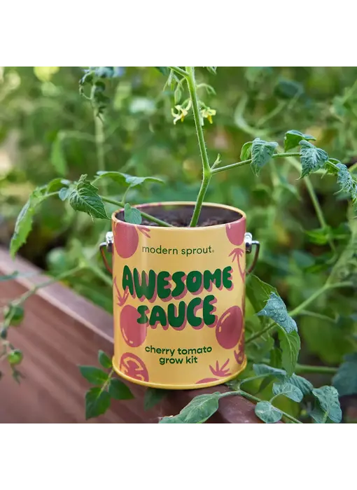 Complimentary Color Grow Kits - Awesome Sauce (Cherry Tomato)