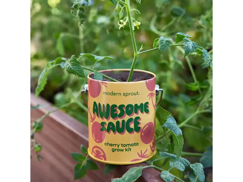 Modern Sprout Complimentary Color Grow Kits - Awesome Sauce (Cherry Tomato)