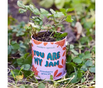 Complimentary Color Grow Kits - You Are My Jam (Strawberry)