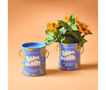 Complimentary Color Grow Kits - Bada Bloom (Mini Sunflower)