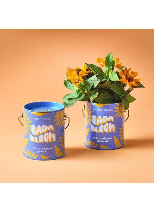 Complimentary Color Grow Kits - Bada Bloom (Mini Sunflower)