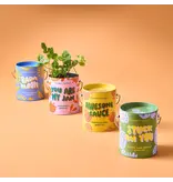Modern Sprout Complimentary Color Grow Kits - Bada Bloom (Mini Sunflower)