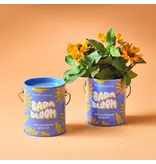 Modern Sprout Complimentary Color Grow Kits - Bada Bloom (Mini Sunflower)