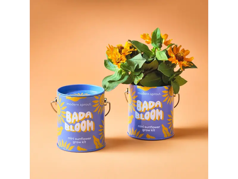 Modern Sprout Complimentary Color Grow Kits - Bada Bloom (Mini Sunflower)