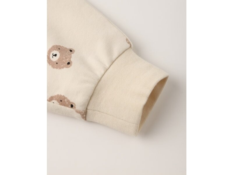 Rylee + Cru Inc. RELAXED SWEATPANT || BROWN BEAR