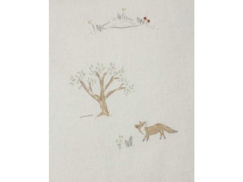 Rylee + Cru Inc. LONG SLEEVE TEE || FOX LAND