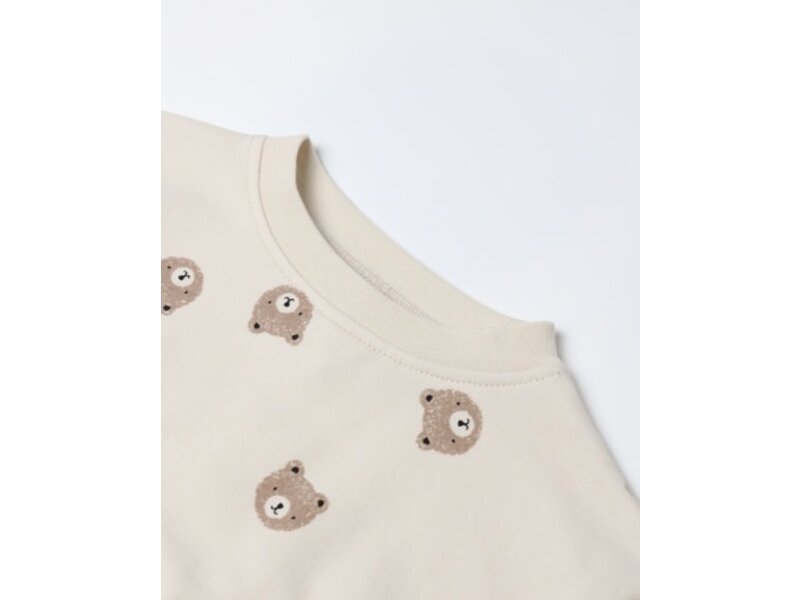 Rylee + Cru Inc. RELAXED SWEATSHIRT || BROWN BEAR