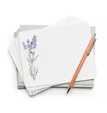 Efrances Lavender Flat Notes | Boxed Notecards Stationery
