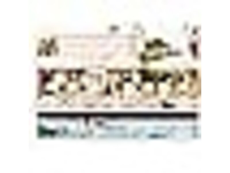 Chronicle Books Palm Beach Book Box 1000 Piece Puzzle