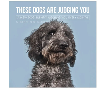 Judgmental Dogs - Wall Calendar