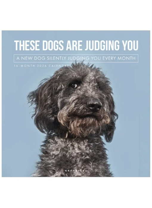Judgmental Dogs - Wall Calendar