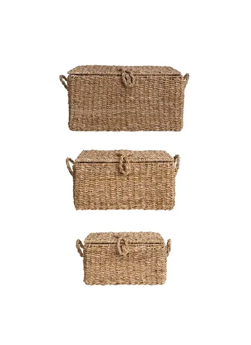Hand-Woven Seagrass & Wire Framed Trunks, Natural - LARGE