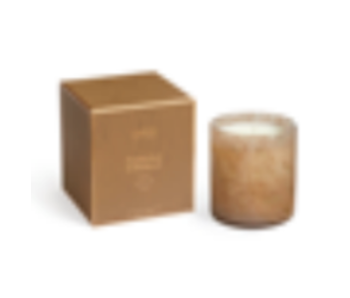 Pumpkin Seed & Sandalwood Candle Signature 15.5oz