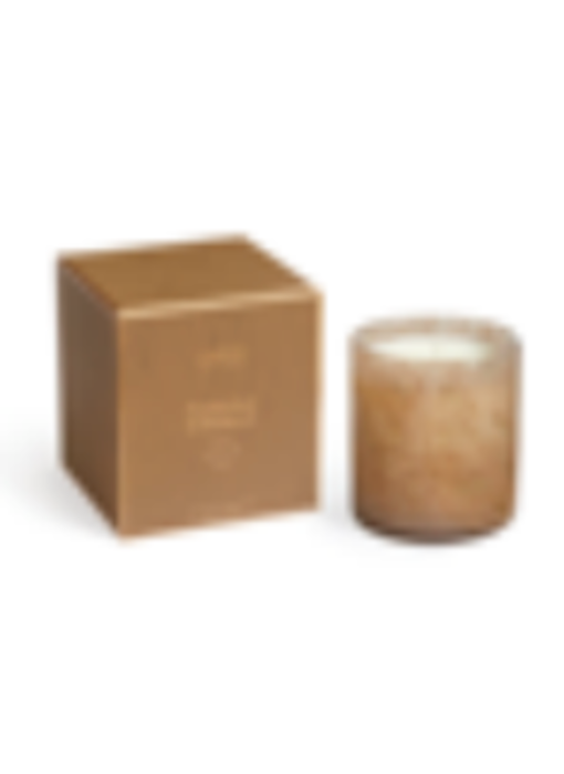 Pumpkin Seed & Sandalwood Candle Signature 15.5oz