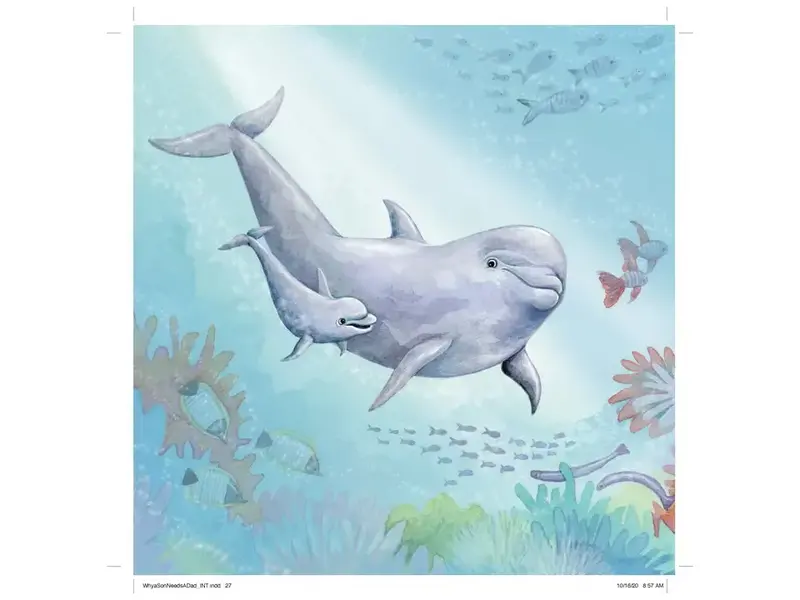 Sourcebooks, Inc. Why A Son Needs A Dad (Hardcover)