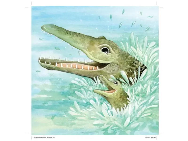 Sourcebooks, Inc. Why A Son Needs A Dad (Hardcover)