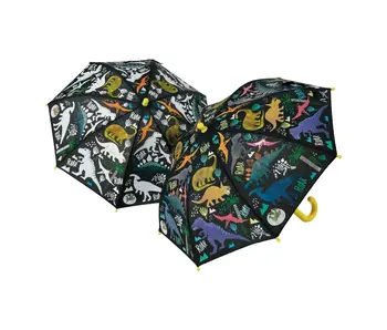 Color Changing Umbrella - Dinosaur