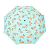 Origional Duckhead French Brand Coucou Suzette Collab - Corgi Dog Mint Umbrella