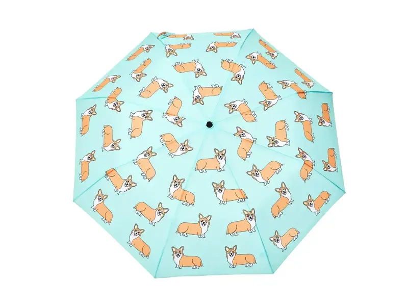 Origional Duckhead French Brand Coucou Suzette Collab - Corgi Dog Mint Umbrella