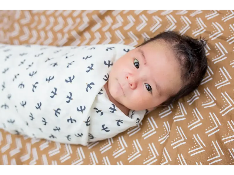Lulujo Cotton Swaddle - Mudcloth