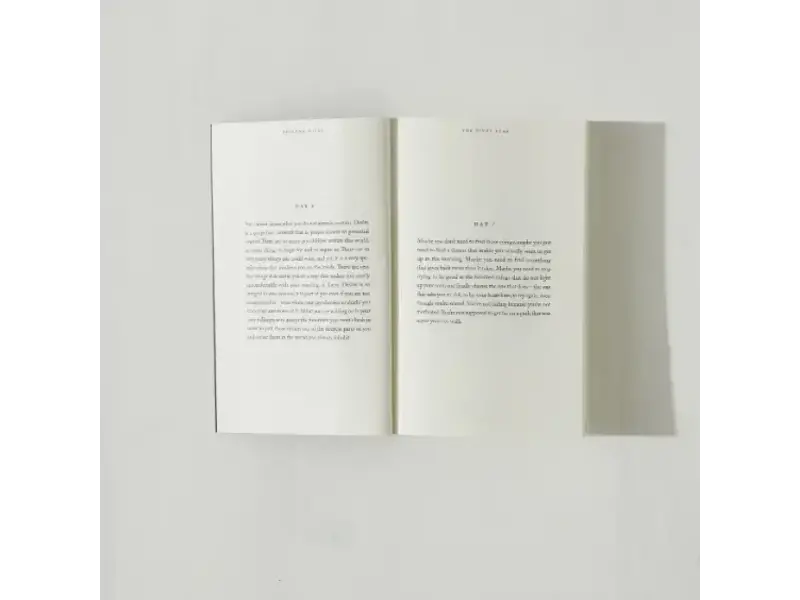 Thought Catalog The Pivot Year - Book