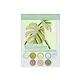 Monstera Leaves Paint-By-Number Kit