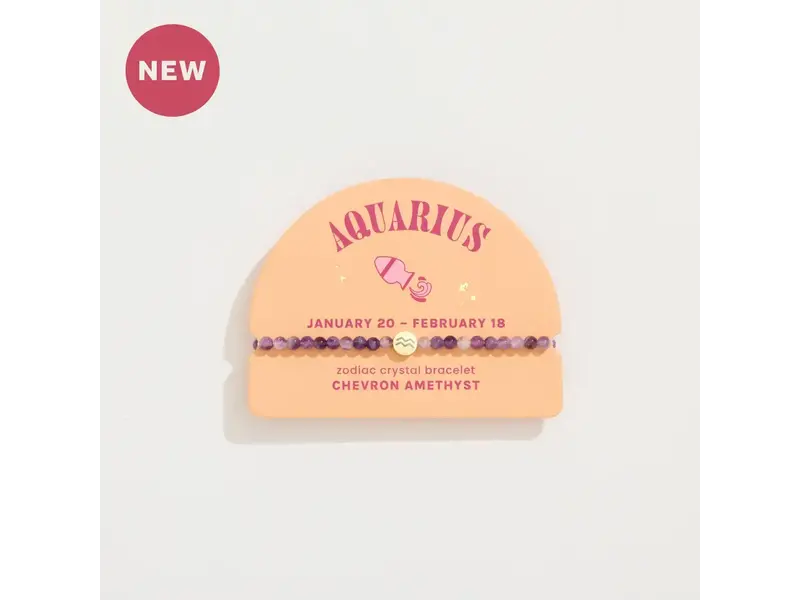 Geo Central Aquarius Mini Zodiac Bracelet – 4mm Crystal Beads