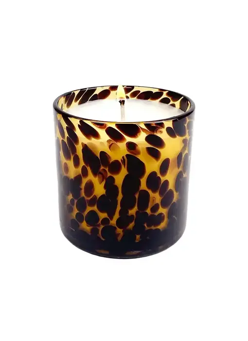 Cassis Vanilla Amber Tortoise Soy Blend Candle
