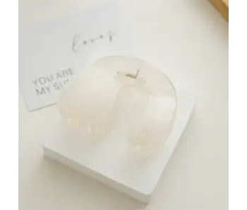 Elegant Minimalist Claw Clip