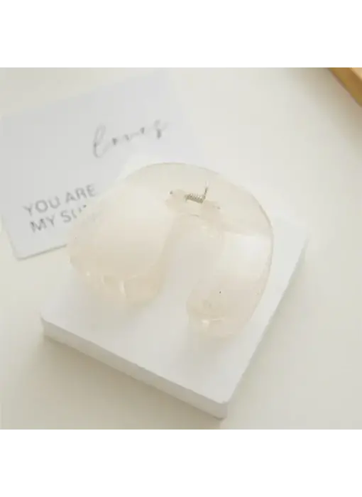 Elegant Minimalist Claw Clip