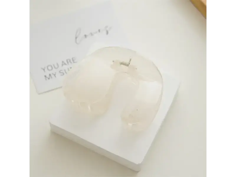 ACCITY Elegant Minimalist Claw Clip