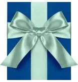 Paper Source Satin Ribbon 1" Width Pool