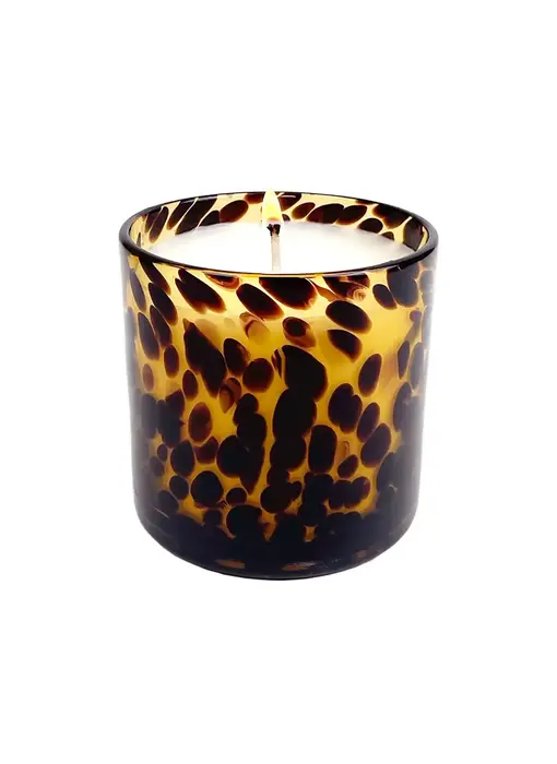 Sugared Amber Tortoise Soy Blend Candle
