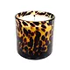 Sugared Amber Tortoise Soy Blend Candle