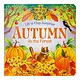 Autumn in the Forest Lift-A-Flap Surprise Board Book