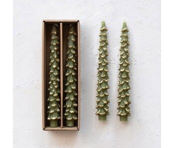 Tree Shaped Taper Candles w/ Gold Tips in Box, Evergreen Color, Set of 2, Unscented