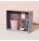 Modern Sprout Seek Peace Mindful Meditation Kit