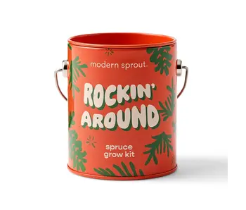 Holiday Grow Kits  Rockin' Around - Norway Spruce