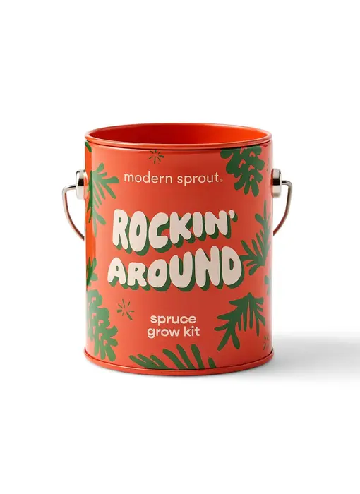 Holiday Grow Kits  Rockin' Around - Norway Spruce