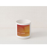 Vicinity Candles Vicinity Candle -  Chicago Autumn