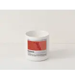 Vicinity Candles Vicinity Candle - Bucktown